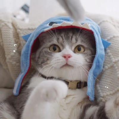 عدنان اکمل avatar